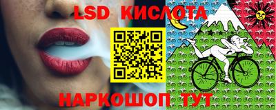 прущие грибы Анапа