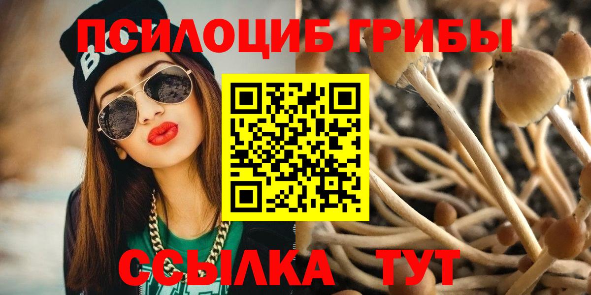 Галлюциногенные грибы ЛСД  Вход с VPN  Вышний Волочёк 